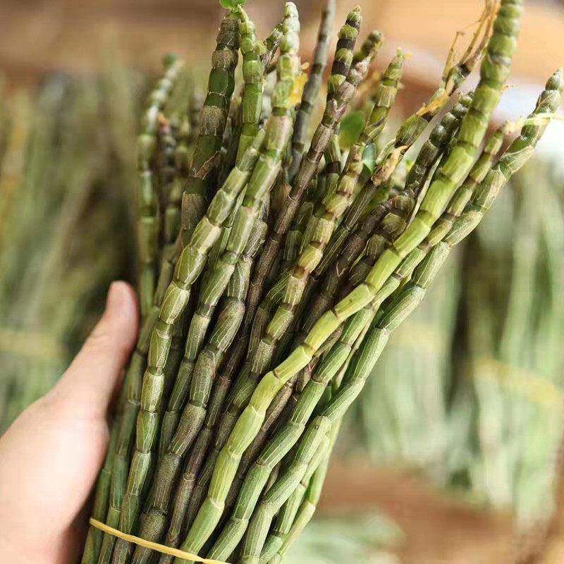 铁皮石斛鲜条500g 新鲜石斛1斤乐清雁荡山产地食用滋补枫斗养生槲