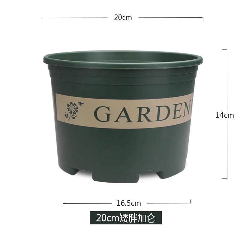 黑加仑花盆花盆园艺用品草莓花瓶