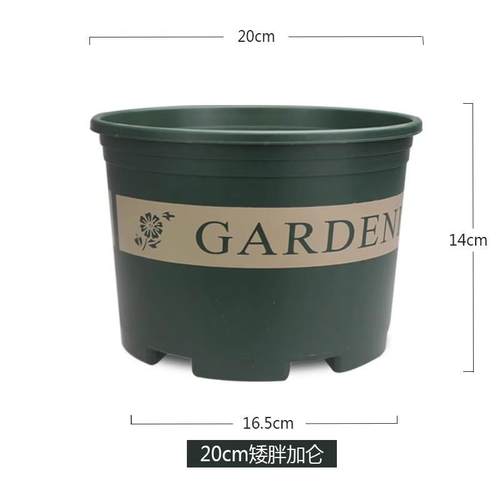 黑加仑花盆花盆园艺用品草莓花瓶