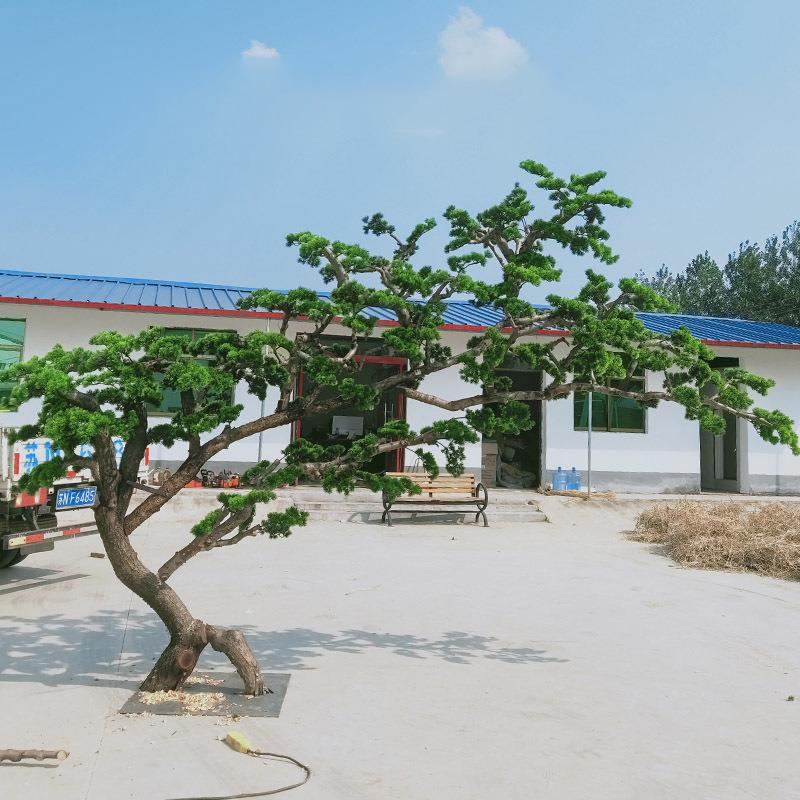 仿真树植物大型仿真迎客松客厅盆景假树禅意摆放新年装饰树仿真树