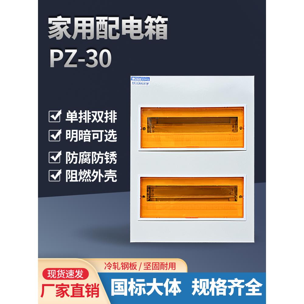 成拓家用Pz30配电箱工程表装式空气开关箱隐藏式强力电源箱国标大