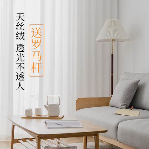 天丝绒纱帘白纱纱帘透光不透人幻影梦幻帘窗帘办公室客厅高端大气