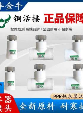 热水器ppr活接头4分管6分管1寸活弯头三通加厚PPR铜活接水管配件