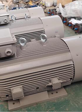 110W132W160W185W200W220W250W280W315W355W电机电动机