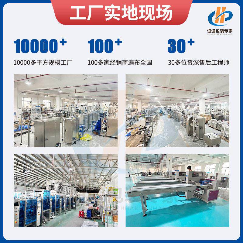定制HD-160FS复合末果汁粉冲包装功机 条袋装粉剂分装设备 多能粉