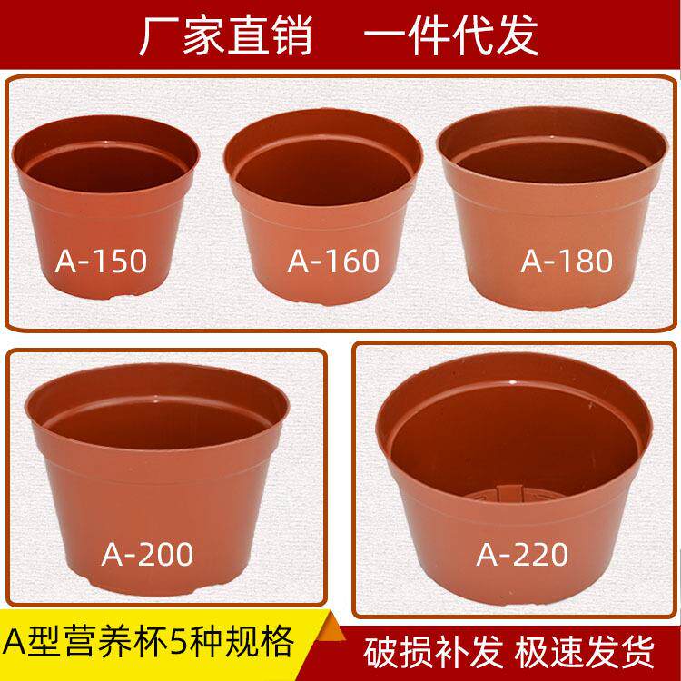 A型育苗营养杯圆形钵塑花盆平低盆栽绿植培植棕色[厂价大量直供]