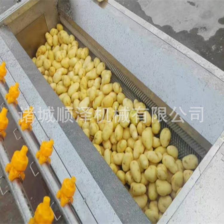 山药清洗机红薯清洗机毛辊清洗去皮机土豆清洗去皮机顺泽机械