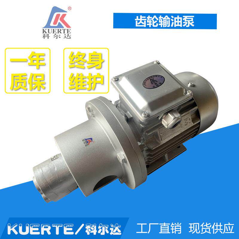 小型液压油泵油管抽油泵液压齿轮油泵机床润滑泵S-10齿轮泵