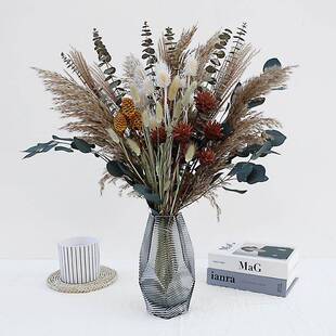 艺复文古风天然芦苇干花花束民宿桌服装店芦苇花束橱窗饰家居面真