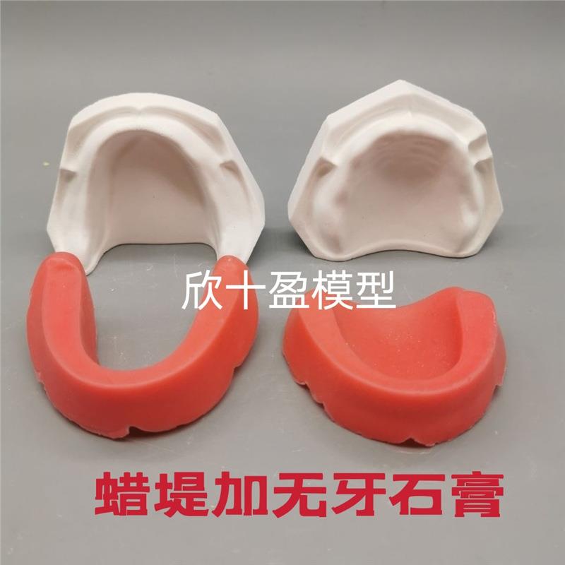 牙科模型无牙颌蜡堤石膏人工练习排牙义齿基托无牙颌石膏底座