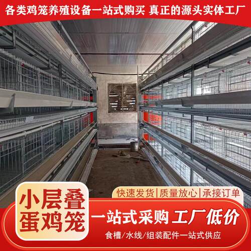 小层叠蛋鸡笼热镀锌全自动立体阶梯式蛋鸡笼自动化捡蛋机养殖设备