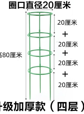 花架子火龙果太阳花月季绿萝花盆