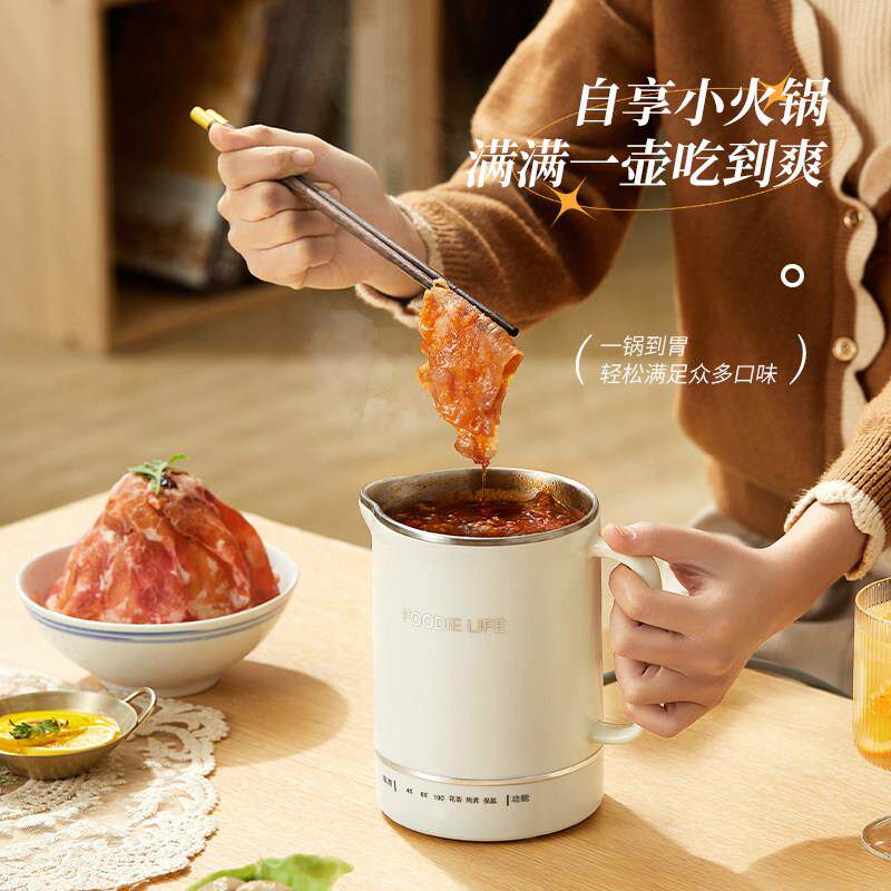 迷你电煮杯小型一人电炖杯便携式电炖煮杯电热烧水杯全自动加热杯