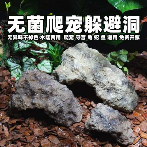 爬宠躲避鱼屋乌龟鬃狮蜥蛇乌龟鱼缸躲避洞穴晒台造景植物攀爬树藤