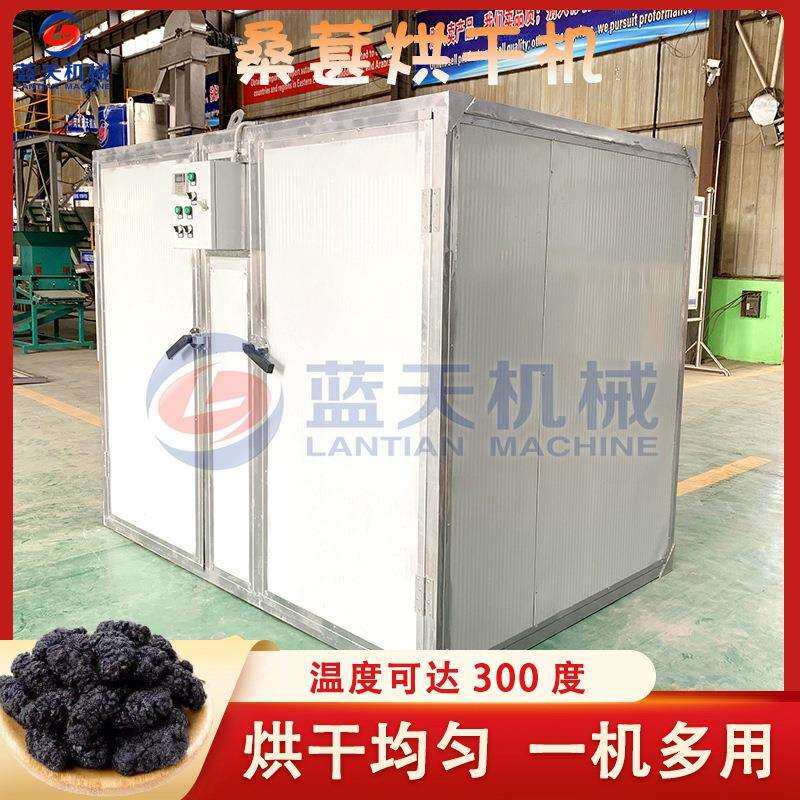 小型电加热桑葚烘干机 桑椹子桑果烘干机 桑蔗烘干设备厂家全自动