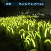 户外发光狗尾巴草地插灯网红景区公园广场街道景观亮化装 饰草坪灯