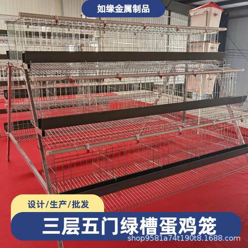 三层五门绿槽蛋鸡笼养殖场养鸡设备笼具畜牧养殖设备阶梯蛋鸡笼