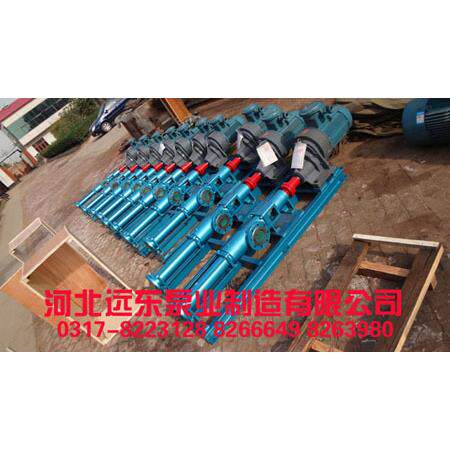 G40-2V-W112单螺杆泵某洗涤用品公司输送洗涤液