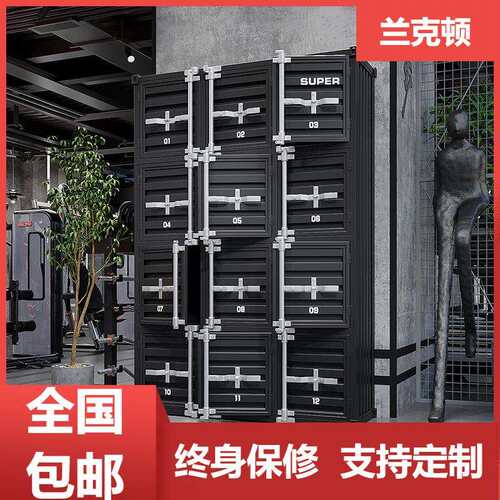 储物柜带锁工业风更衣柜钢制员工铁皮柜健身房浴室存包柜跨境热卖