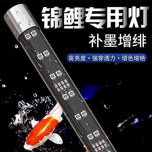 锦鲤鱼缸专用灯 LED鱼缸灯防水三基色蝴蝶锦鲤增色灯鱼池曾艳照明