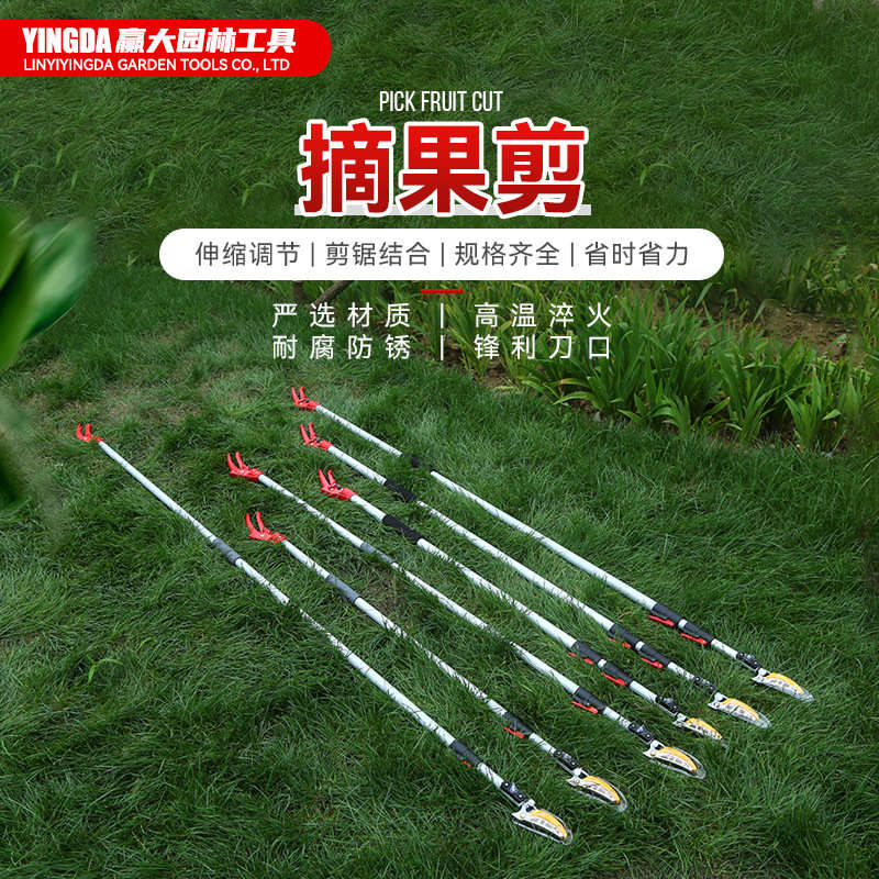 赢大摘果剪摘果器伸缩高空摘果剪高枝剪采摘龙眼枇杷荔枝园林工具