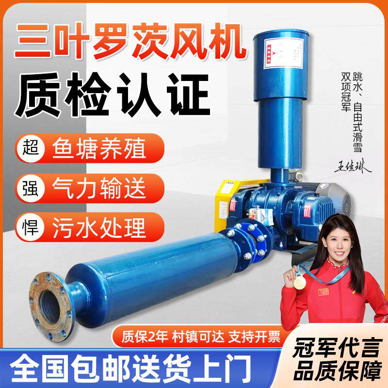 罗茨鼓风机污水处理高密度水产养殖曝气增氧气力输送罗茨鼓风机