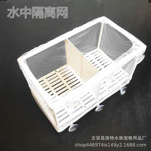 水族箱隔离盒鱼缸隔离网热带鱼孔雀凤尾孵化繁殖盒带隔板吸盘大小