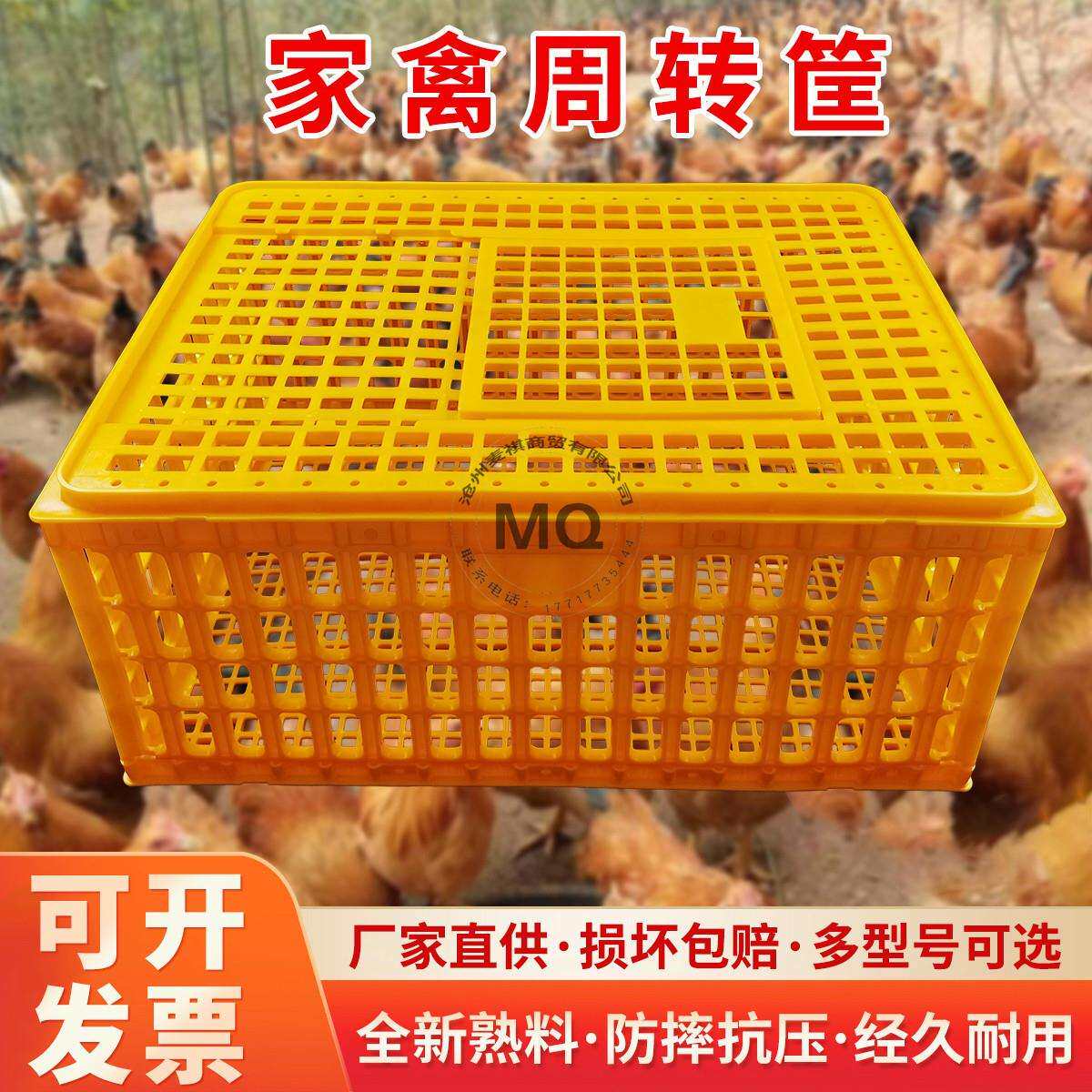 鸡笼周转箱家用特大号鸡笼子鸭鸽兔鸡用家禽运输筐养殖笼塑料鸡框