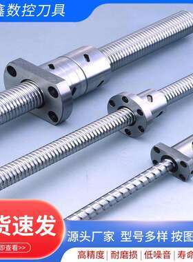 工厂供应双螺母单螺母大导程滚柱丝杠副梯形不锈钢丝杠