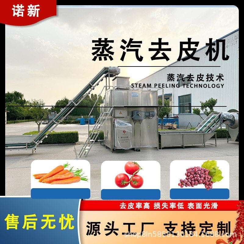 大型全自动芋头蒸汽去皮机 葡萄汁猕猴桃汁果汁加工去皮流水线