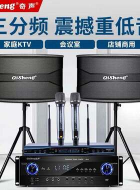 奇声家庭ktv音响套装会议室舞蹈大功率功放机卡拉OK点歌机家用K歌