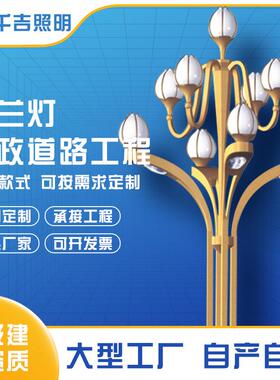 中华灯市政工程道路照明8米LED中华灯景区广场主干道玉兰灯景观灯