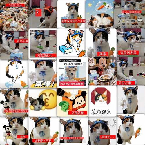 177张真棒猫贴纸创意搞笑纸巾罗卜猫meme卡通装饰手机diy防水贴画