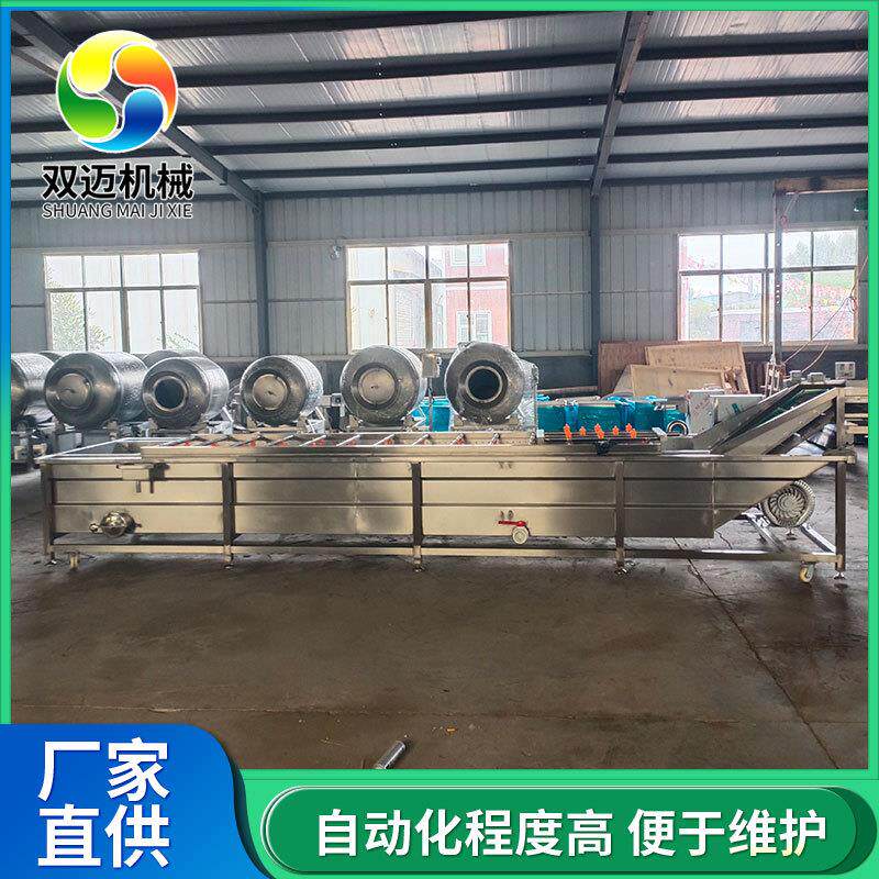百香果高压药气泡清洗机 自动果蔬清洗全设备中材清DBR洗风干流
