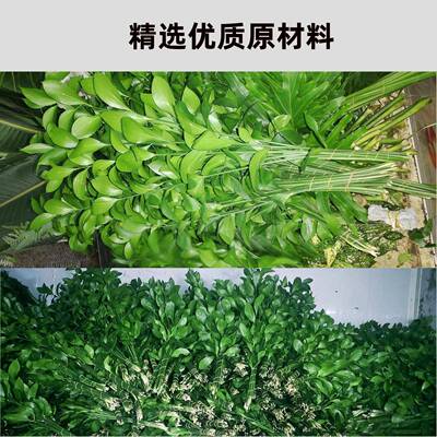 桔叶永生花干花花束文艺小清新摆件家具装饰插花配饰材料场景搭配