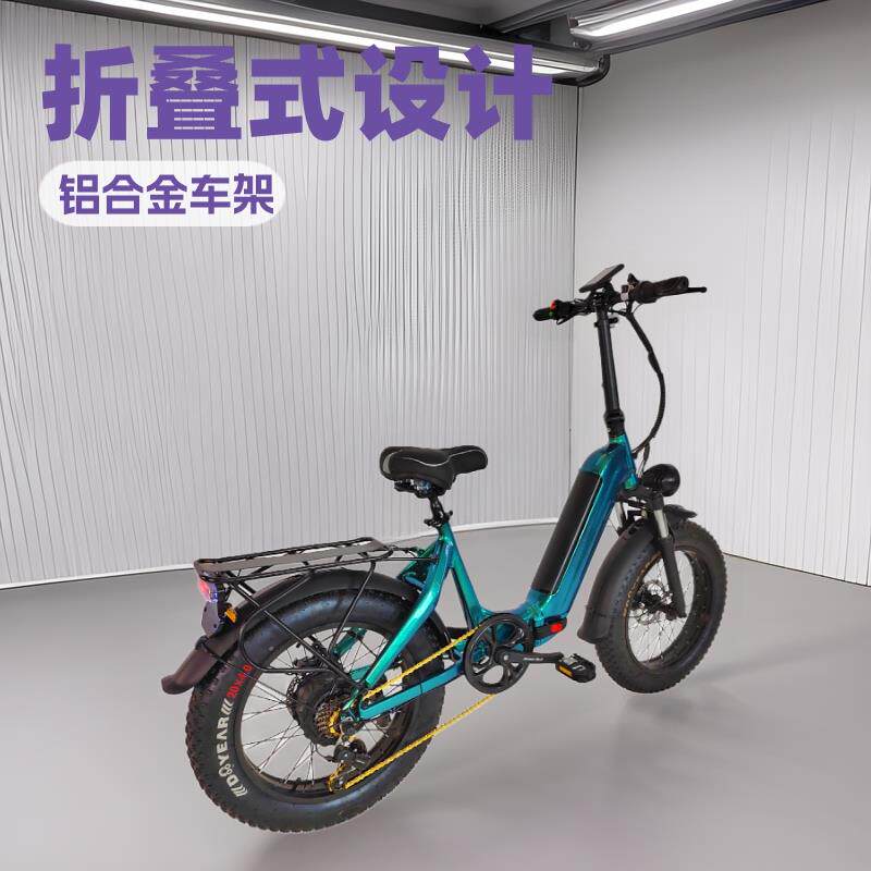 折叠电动自行车雪地宽胎电动助力车力矩圈传感电动单车双驱电动车