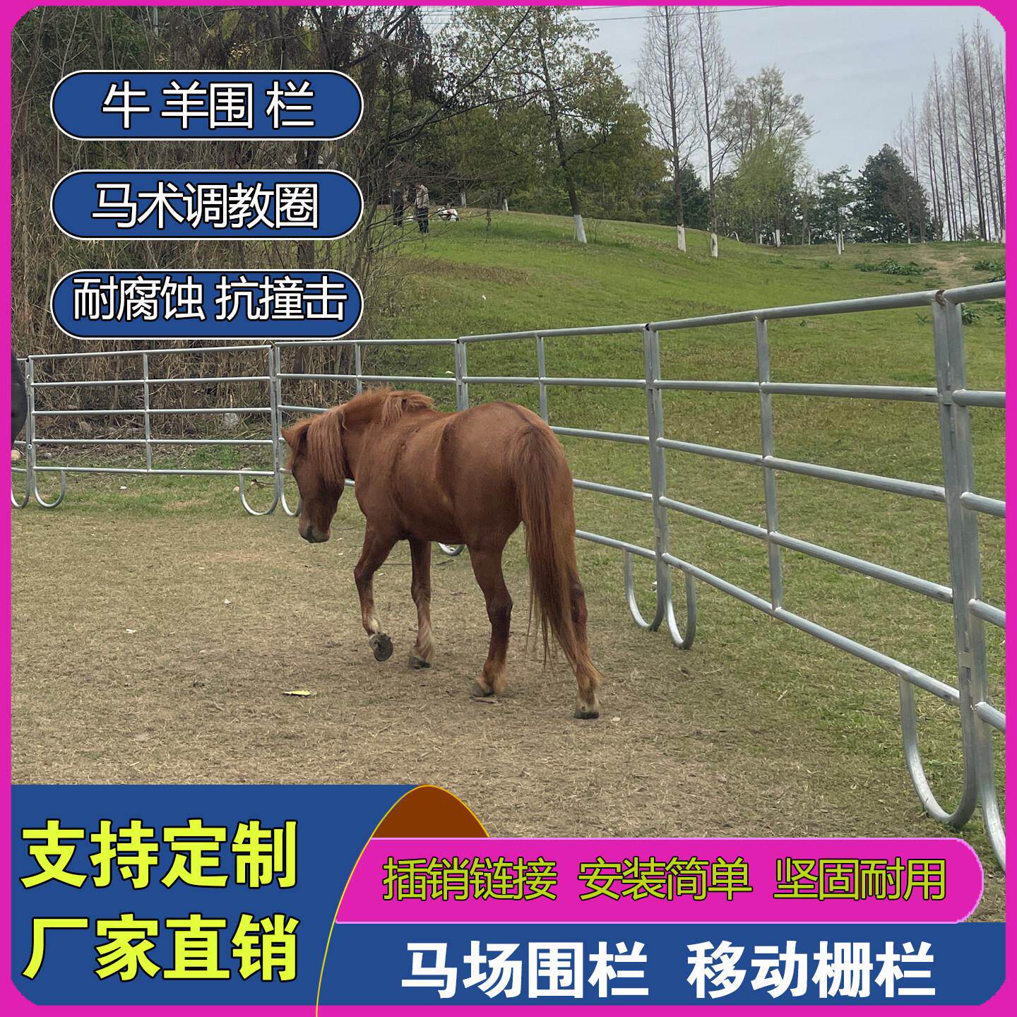 马场围栏马术场地可移动式牧场护栏圈牛羊畜牧栅栏马匹调训隔离栏