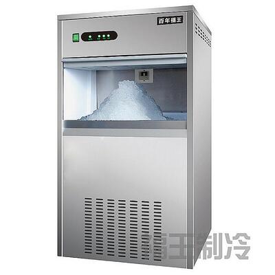 实验室雪花制冰机BNS—30 冰块制冰机 厂家现货