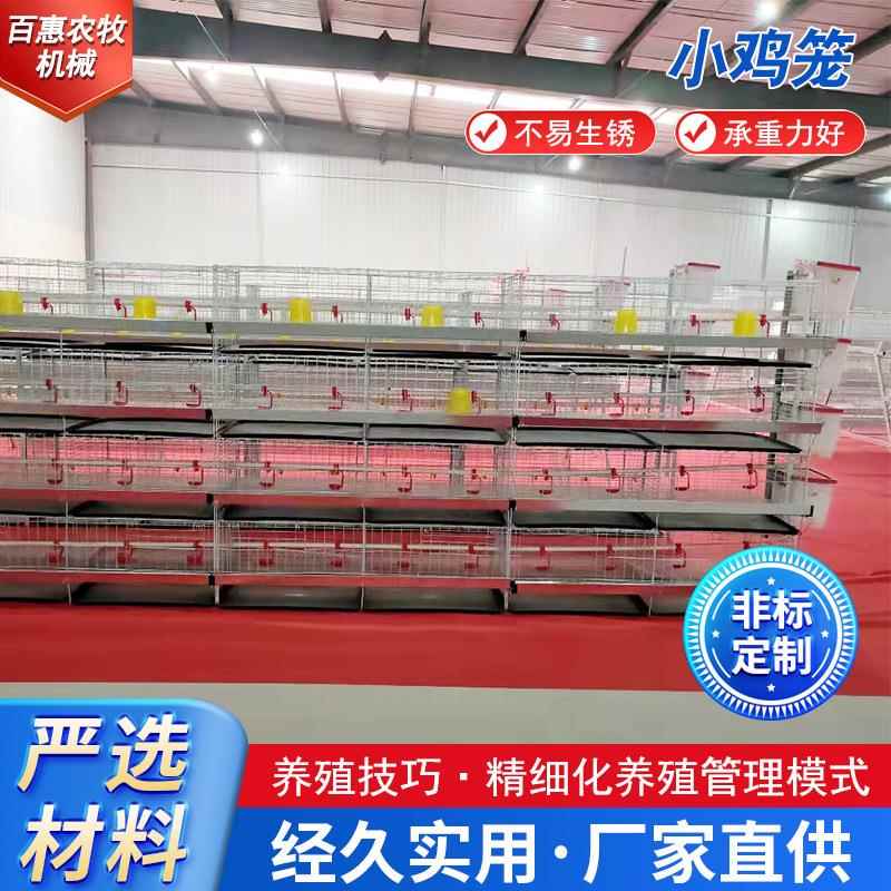 立式小鸡育防舍雏鸡笼FMD锈镀锌养殖设备鸡养鸡笼厂家供笼应