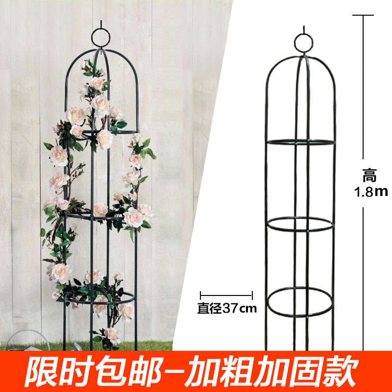 园艺藤本植物攀爬花架阳台盆栽支架铁艺室内月季铁线莲爬藤赵之周