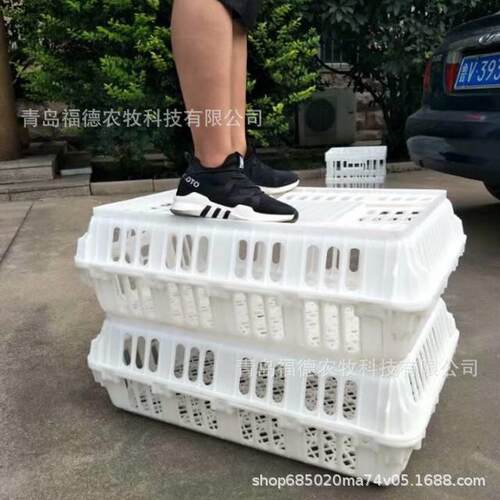 塑料鸡笼 大鸡笼 源头厂家 拉大鸡运输箱 鸡鸭鸽子周转筐
