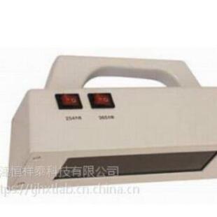 302nm 紫外灯紫外波长254nm 365nm 100手提式 供应HUV