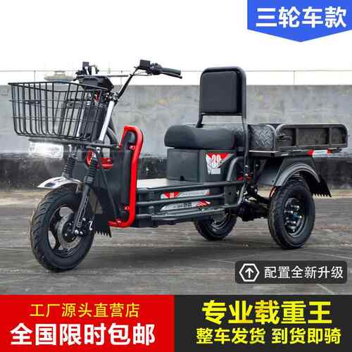 载重王电动三轮车拉货载货快递爬坡路霸长跑王锂电池家用送货车
