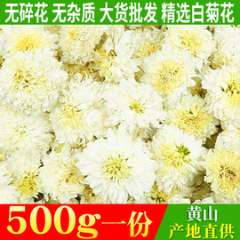 黄山白菊花贡菊泡茶喝枸杞茶杭白菊清热山楂菊花茶胎菊王散装