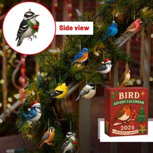 24 Days Christmas Bird Advent Calendar Countdown Calendar