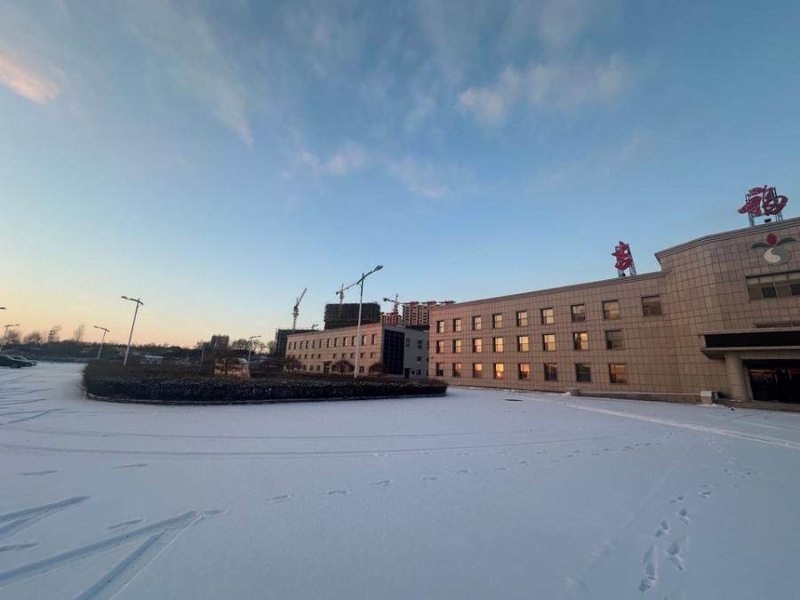 1月19日吉林开发公司整体资产网络拍卖公告