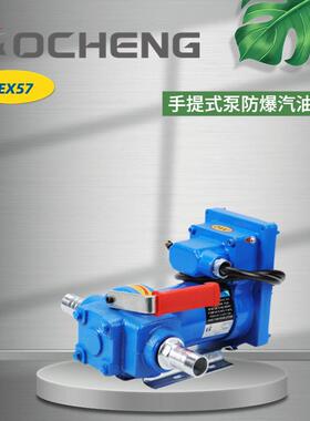 奥诚DCEX57手提式泵12V24V电动汽油泵方便携带汽油机加油机