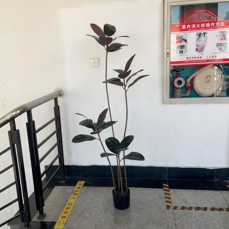 工厂北欧仿真植物盆栽黑金刚盆景橡皮树小树假树家居造影