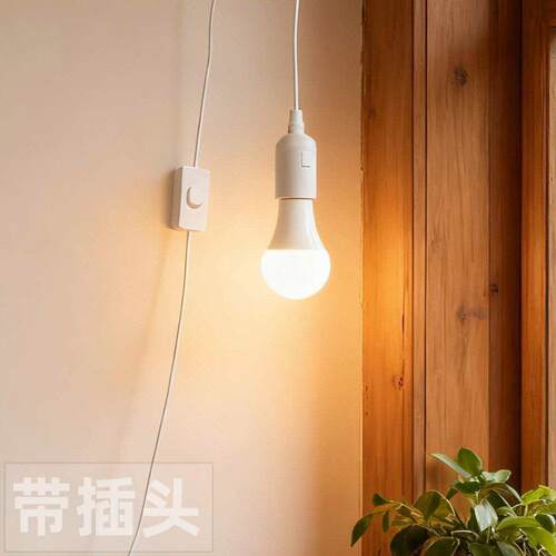 简约现代挂灯插头线床头灯上铺灯小吊灯寝室宿舍灯仓库插电照明灯