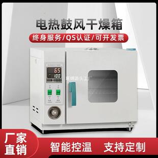 电热鼓风干燥箱高温加热小型工业烤箱恒温烘干机实验室烘箱